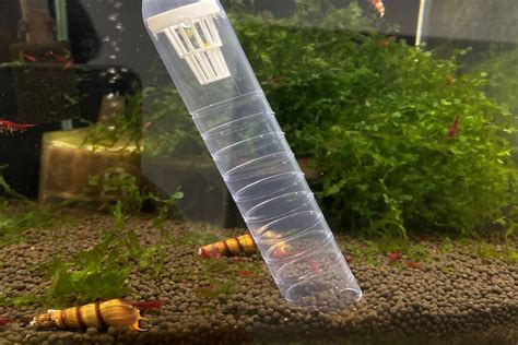 養魚要注意什麼|魚缸多久換水一次？魚缸換水正確4步驟！魚缸換水神器推薦